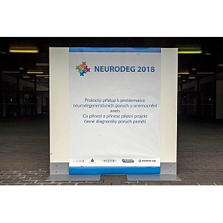 miniatura z mezinárodní konference Neurodeg 2018